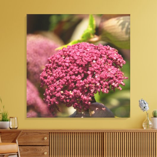 Beautiful Angelica Flower Canvas Afdruk (Insitu (Woonkamer))