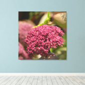 Beautiful Angelica Flower Canvas Afdruk (Insitu (Houten vloer))