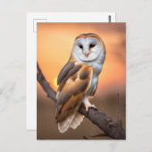 Beautiful Barn Owl Briefkaart (Voorkant / Achterkant)