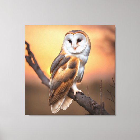 Beautiful Barn Owl Canvas Afdruk (Voorkant)