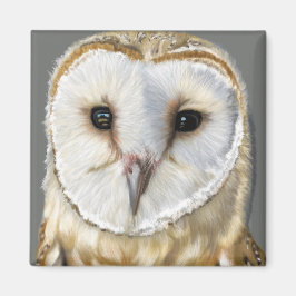 Beautiful Barn Owl Magneet
