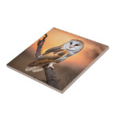 Beautiful Barn Owl Tegeltje (Zijkant)