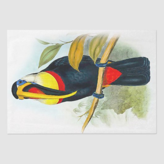 Beautiful Bird Vintage Toucan Tissuepapier (Voorkant)