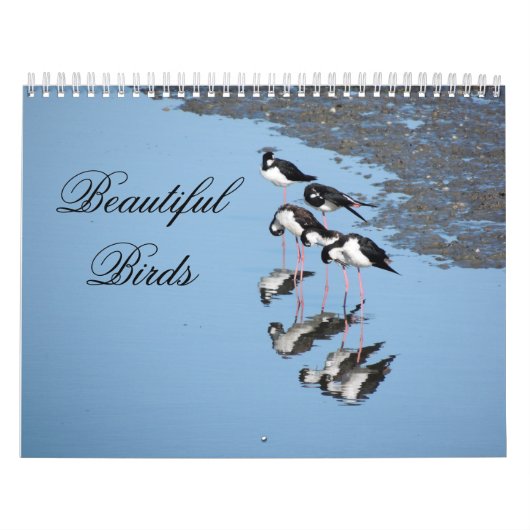 Beautiful Birds Calendar Kalender (Hoes)