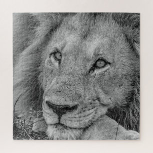 Beautiful Black and White Lion Face Photo Legpuzzel