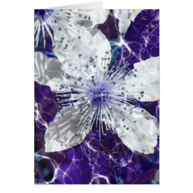 Beautiful Blossom Flower (Devant)