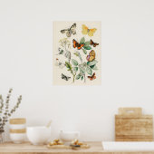 Beautiful Butterly Nature Print Poster (Cuisine)