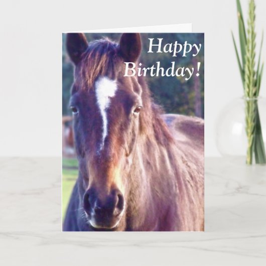 Beautiful Horse Birthday Card Kaart (Voorkant)