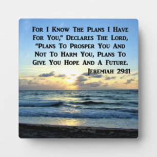 BEAUTIFUL JEREMIAH 29:11 BLAUWE HUIDEN FOTOPLAAT