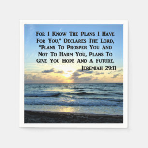 BEAUTIFUL JEREMIAH 29:11 BLAUWE HUIDEN SERVET