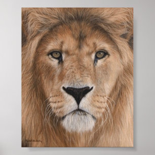 Beautiful Lion Head Poster