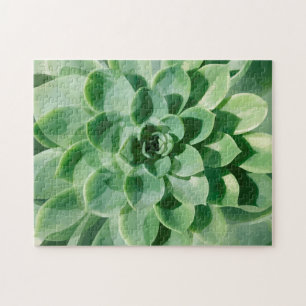 Beautiful Nature Theme Puzzles For Adults