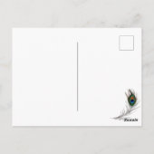 Beautiful Peacock in a Floral Field Briefkaart (Achterkant)