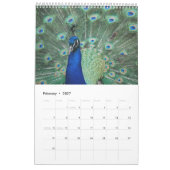 Beautiful Peacocks 2021 Calendrier (Feb 2027)