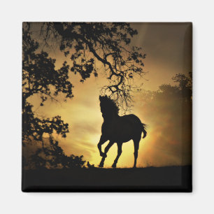 Beautiful Running Horse in the Sunset Magnet
