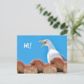 Beautiful Seagull - Bonjour carte postale (Debout devant)