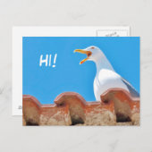 Beautiful Seagull - Bonjour carte postale (Devant / Derrière)