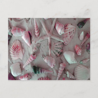 Beautiful Seashells Briefkaart