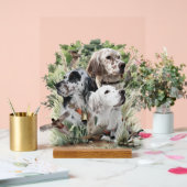 Beautiful Setters (Mariage)