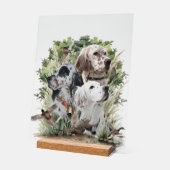 Beautiful Setters (Angle)