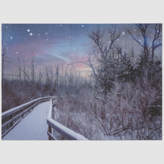 Beautiful Snowy Woods Rustic Winter Decoupage Tissuepapier (Voorkant)