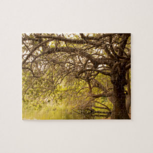 Beautiful Tree Puzzle