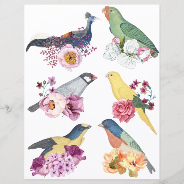 Beautiful vintage birds with flowers scrapbooking (Voorkant)