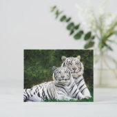 Beautiful White Tigers Briefkaart (Staand voorkant)