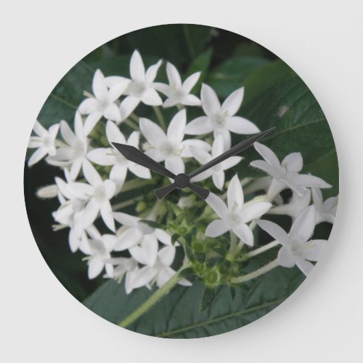 Beautiful White Tropical Flowers Wall Clock Grote Klok (Voorkant)