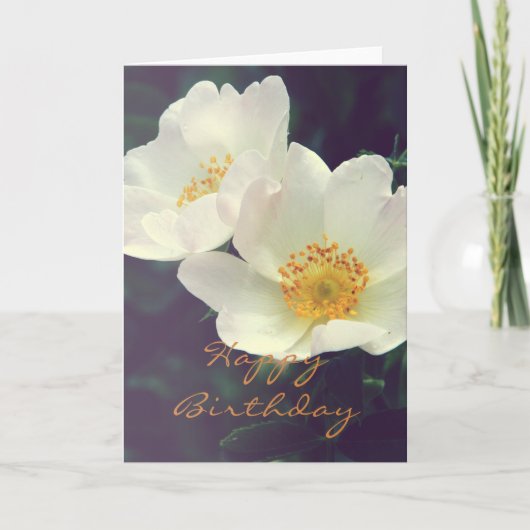 Beautiful Wild Rose Happy Birthday Card Kaart (Voorkant)