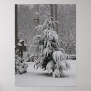 Beautiful Winter Scene Poster
