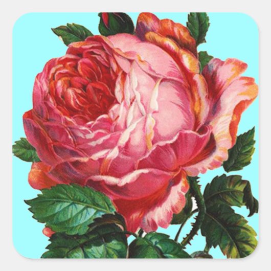 BEAUTIFULE PINK ROSE VIERKANTE STICKER (Voorkant)