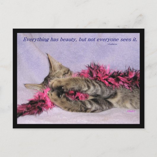 Beauty Briefkaart (Voorkant)