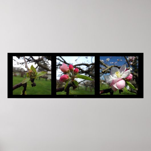 Beauty Comes Poster (Voorkant)