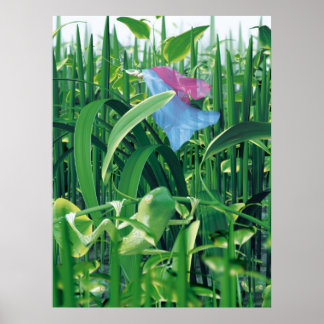 Beauty en de beesten poster