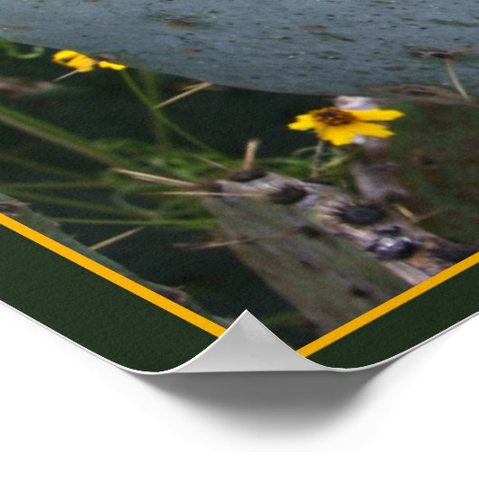 Beauty en het Beast Poster (Hoek)