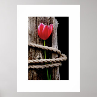 Beauty Held Hostage Poster