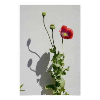 Beauty is also the Beast. Perfect Poster