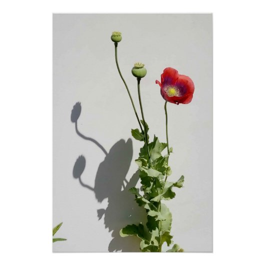 Beauty is also the Beast. Perfect Poster (Voorkant)