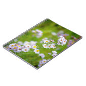 Beauty Line Notitieboek (Linkerzijde)