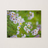 Beauty Line Puzzle (Horizontal)