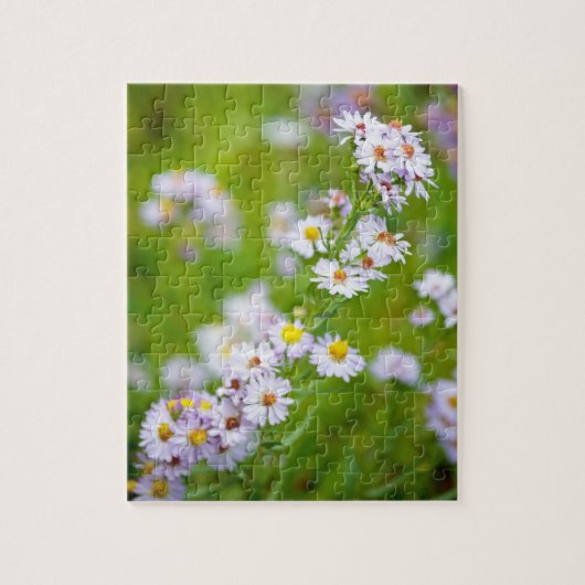 Beauty Line Puzzle (Vertical)