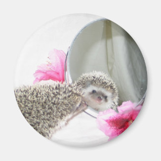 Beauty magnet magneet