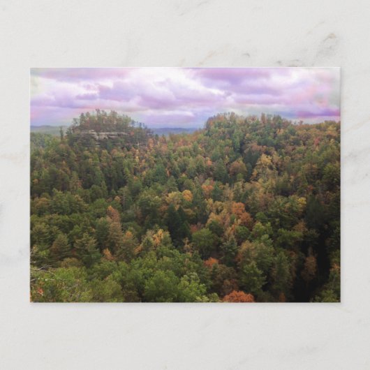 Beauty of Autumn Briefkaart (Voorkant)