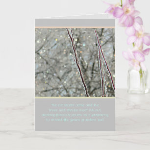 BEAUTY OF ICE STORM/SPARKLES ZOALS COLORFUL JEWELS KAART