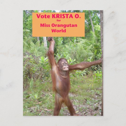 Beauty Pageant-activist Briefkaart (Voorkant)