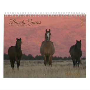 "Beauty Queens" MustangWild 2026 Agenda  Kalender