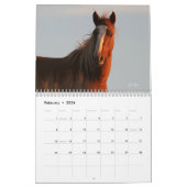 "Beauty Queens" MustangWild 2026 Calendar  Kalender (Feb 2026)
