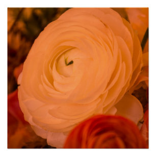 BEAUTY SURROUNDS 20" x 20", Poster (Halfglans) Perfect Poster