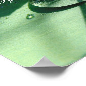 Beauty zal het Poster van de wereldprijsopgave red (Hoek)